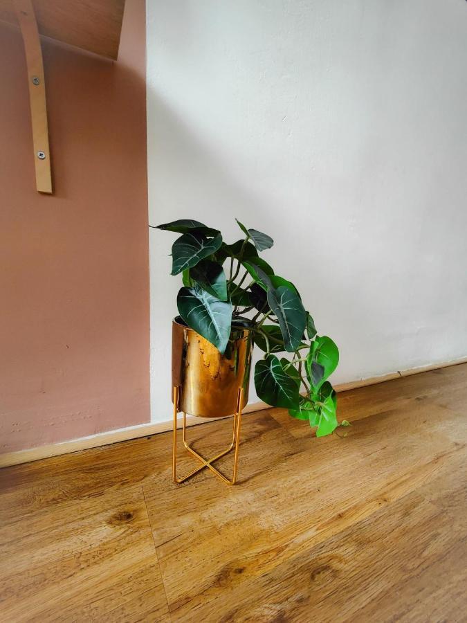 Charmant T2 Atypique, Renove, Confortable Beziers Bagian luar foto